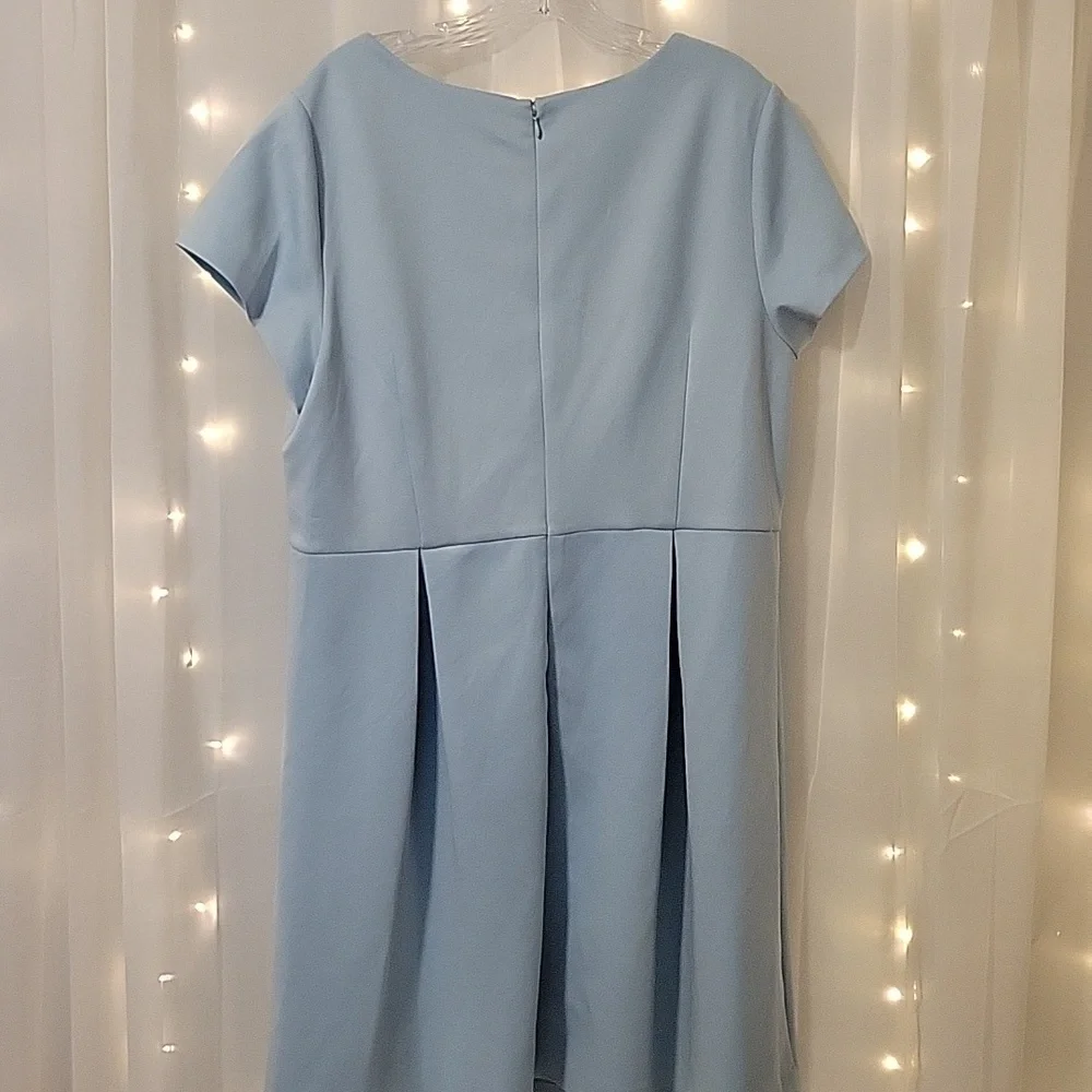 Betsey Johnson Baby blue A line dress with Floral Detail Size 18W_4